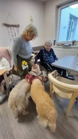 857ef82c-21c9-442c-8338-69ea6c041def (1)