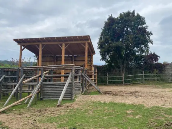 874900df-baa4-4186-a998-ce9f9af53e56 (2)