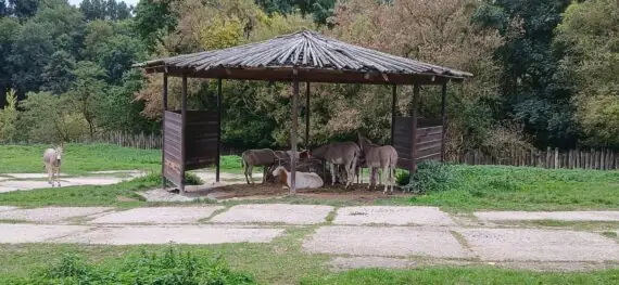 87dcc41a-973c-4f93-bb68-b743903996cd (2)