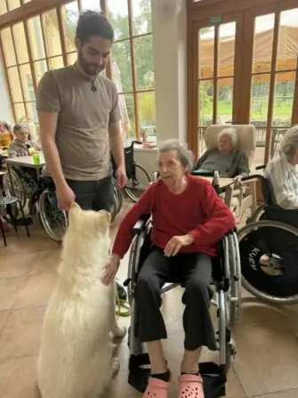 888f922d-a5ed-4648-9d42-42618a0539a8