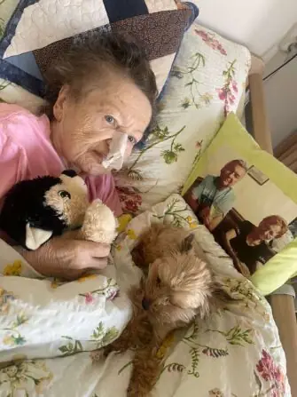 8b367703-eed7-4345-86a7-a680cdf7817a