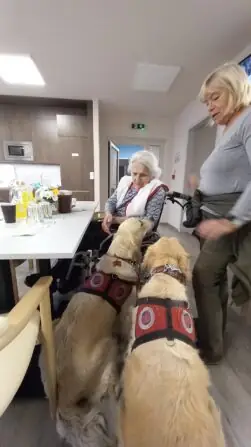 9396e02a-593f-4dc3-9c47-5000ef770266 (1)