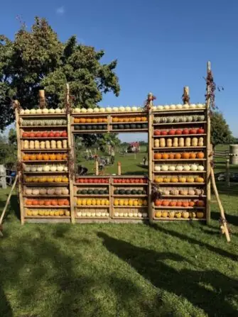 959af48d-c27d-48e5-b82c-4318279c126c