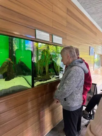 IMG-20251001-WA0002(1)