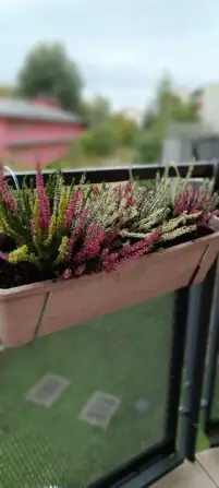 Obrázek WhatsApp, 2025-09-18 v 11.08.51_a1969aa8