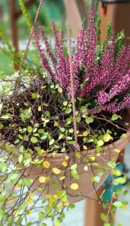 Obrázek WhatsApp, 2025-09-18 v 11.08.51_a7333b71