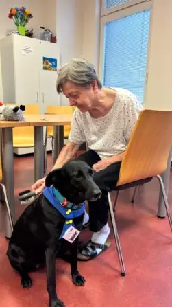 Obrázek WhatsApp, 2025-09-26 v 04.32.49_9eb10b1c