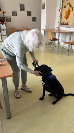 Obrázek WhatsApp, 2025-09-30 v 16.08.17_e1b25c22