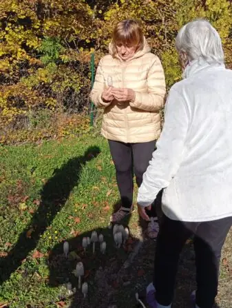 Obrázek WhatsApp, 2025-10-14 v 15.09.28_de5b5202