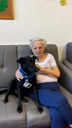 Obrázek WhatsApp, 2025-10-14 v 16.05.28_501791eb