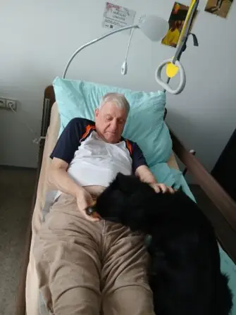 Obrázek WhatsApp, 2025-10-27 v 12.17.33_9c33a398