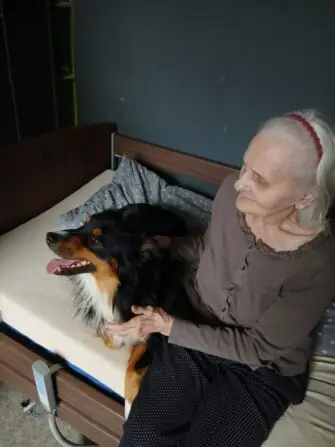 Obrázek WhatsApp, 2025-10-27 v 12.17.33_c35efbef