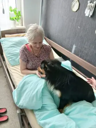 Obrázek WhatsApp, 2025-10-27 v 12.17.37_410ba0df