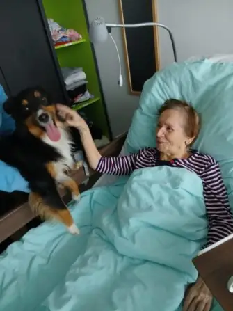 Obrázek WhatsApp, 2025-10-27 v 12.17.37_f1fda24d