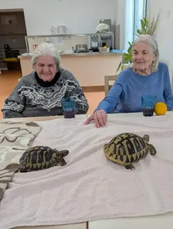 PXL_20251010_081027530