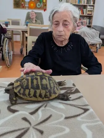 PXL_20251010_081051724