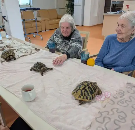 PXL_20251010_081310999