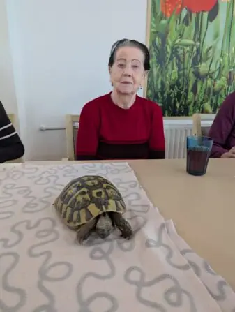 PXL_20251010_081646437