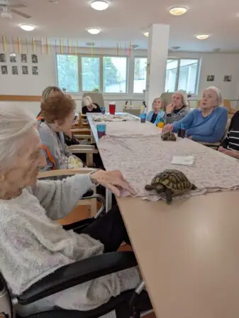 PXL_20251010_082401418