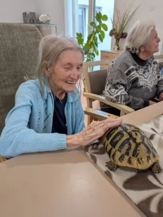 PXL_20251010_082914402