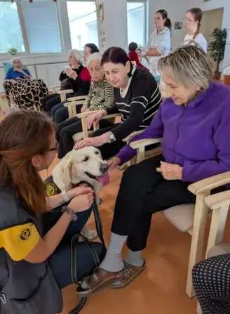 PXL_20251015_081647550