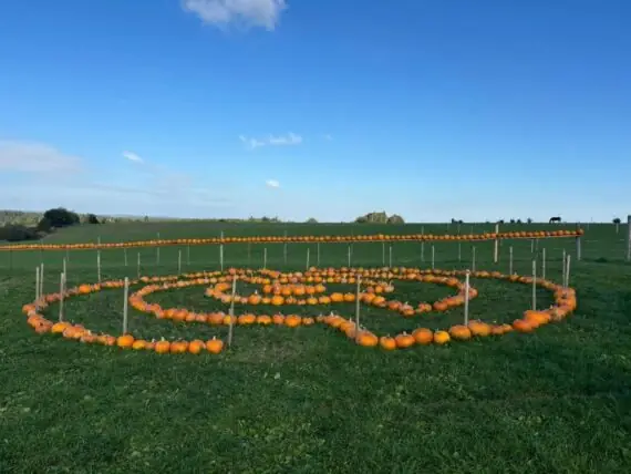 a7e17c70-f2a8-45d8-b78d-1e8e34324484