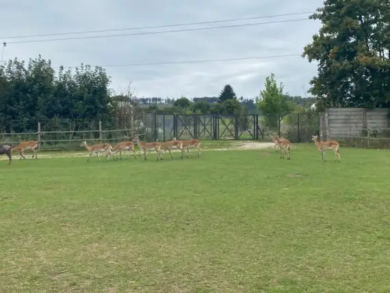 b56b1807-d4da-4ad4-a606-d2fe2f290ee5 (2)