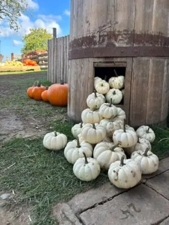 b9ef7da4-d3d7-473f-a016-f85c479767ea