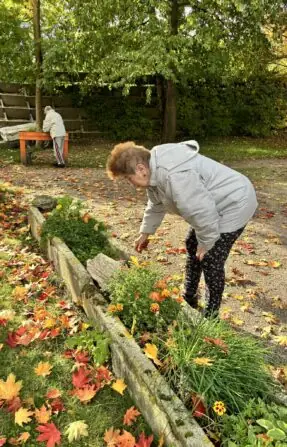 bylinky sklizeň (3)