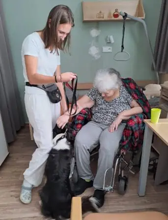 c1e42e1c-374d-4a01-8be8-e68fd49152e2