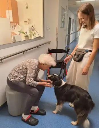 c2b43415-3520-49ca-8a72-b0de81c97071