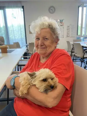 c4c06844-5c9f-4384-94c4-97032b161d6e