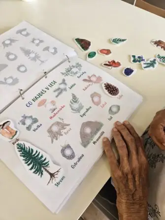 cd3d043f-878b-4f14-b0bc-0fb4084c1008