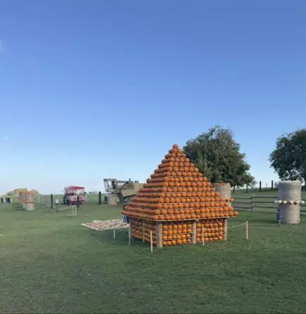 d819dd23-ead0-4556-b458-cff33fc7c668