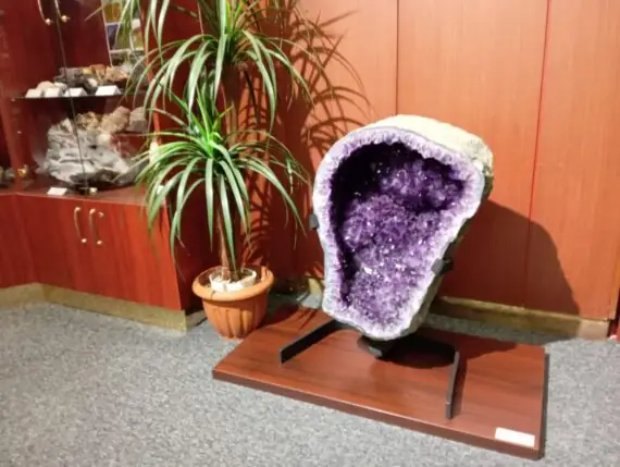 dbfe9808-330d-4e64-add0-12b63a783283