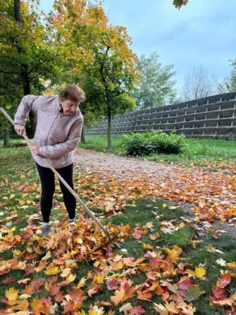 f13114b3-94b2-4dab-9233-8f3e604f9997