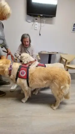 f2a1bf0f-bab8-465e-8399-ae1fae43e6cf (1)