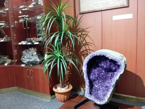 f4b4932f-7ba5-4735-a693-88db147caf5c