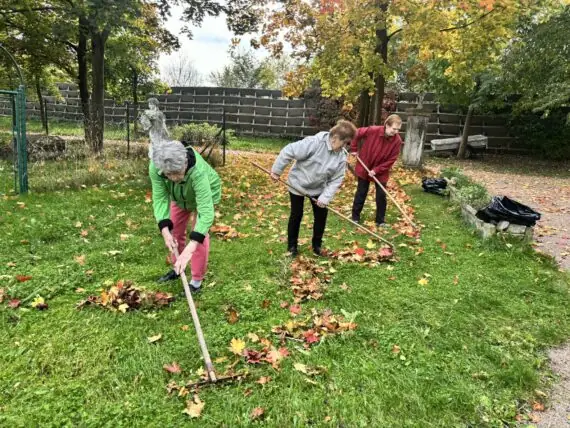 fdc1355c-4dc0-4bfe-9b42-84523fc08c76