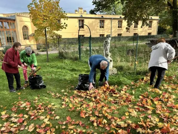 hrabání listí (1)