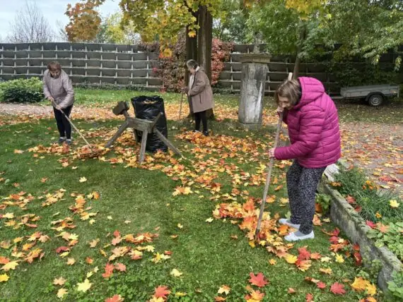 hrabání listí (4)