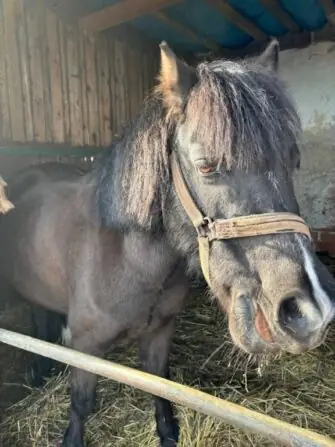 0f0d27e3-6e43-4f2d-a411-6b7f8db5d7ad