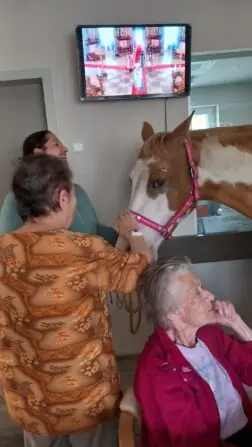 1b91f2a0-f0a8-4498-aa61-5187a6e802e9