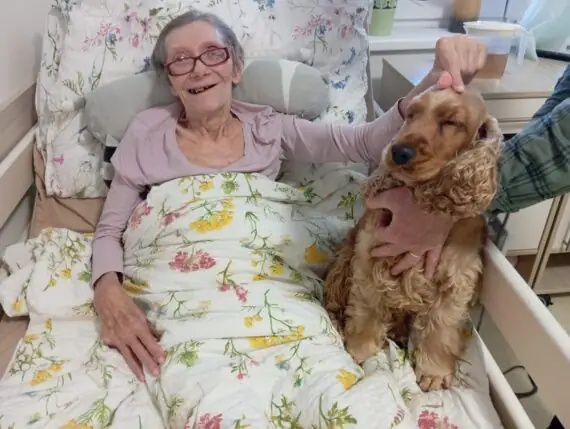 2324a5b5-a58a-4df4-9656-d69e10de7381