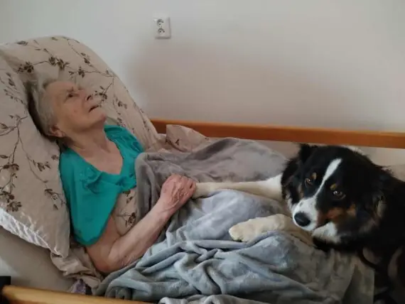 25616dda-c959-46ff-83c5-2d859a16fb60