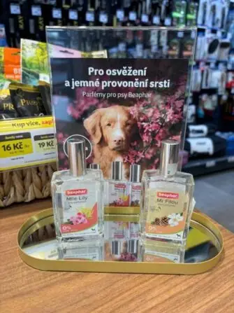 2628e53a-babd-4f69-886e-2749d023a403