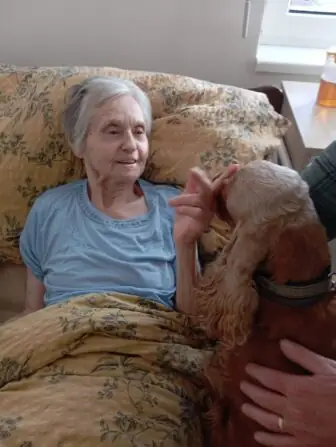 2ddd6bd7-bf92-4665-88a2-1959edf9f81c