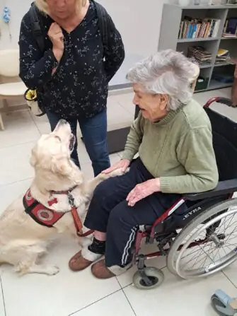 2e1b13fb-3ff6-40bb-a087-a6c9a1fff60b