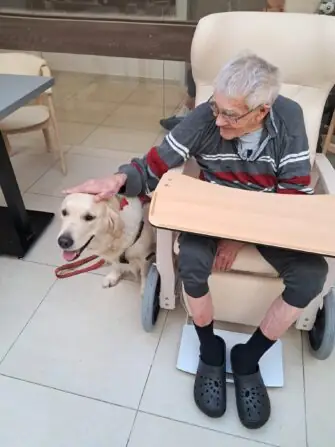 38297702-f394-43df-a98c-b614ab0ce4d8