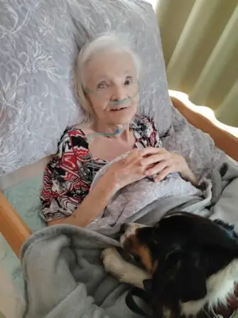 3950e579-7ba7-43f2-a776-304dda08e8a7